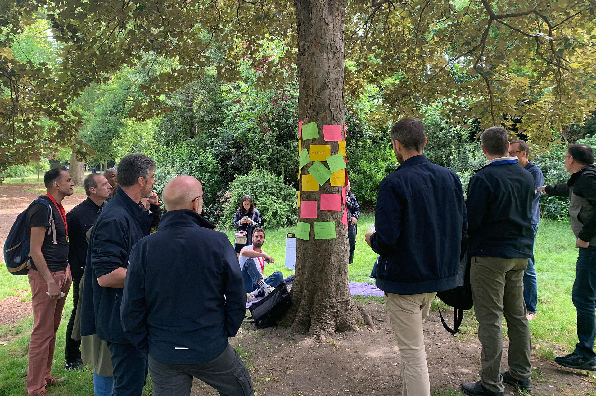 Team building & intelligence collective