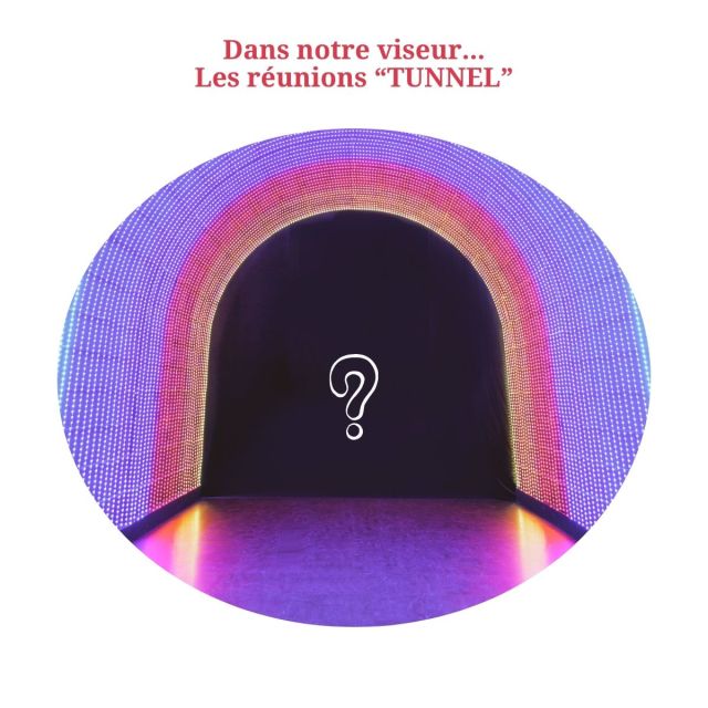 Animer & dynamiser ses Réunions 1 2 copie